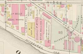 Section of Hopkins Map