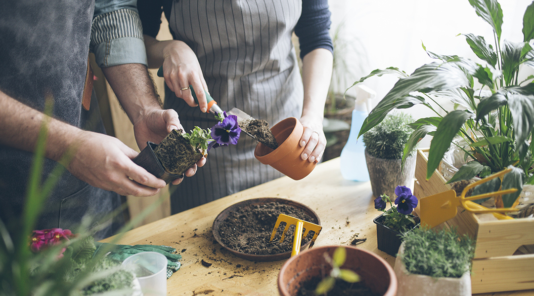 Two people potting a plant at a gardening class.