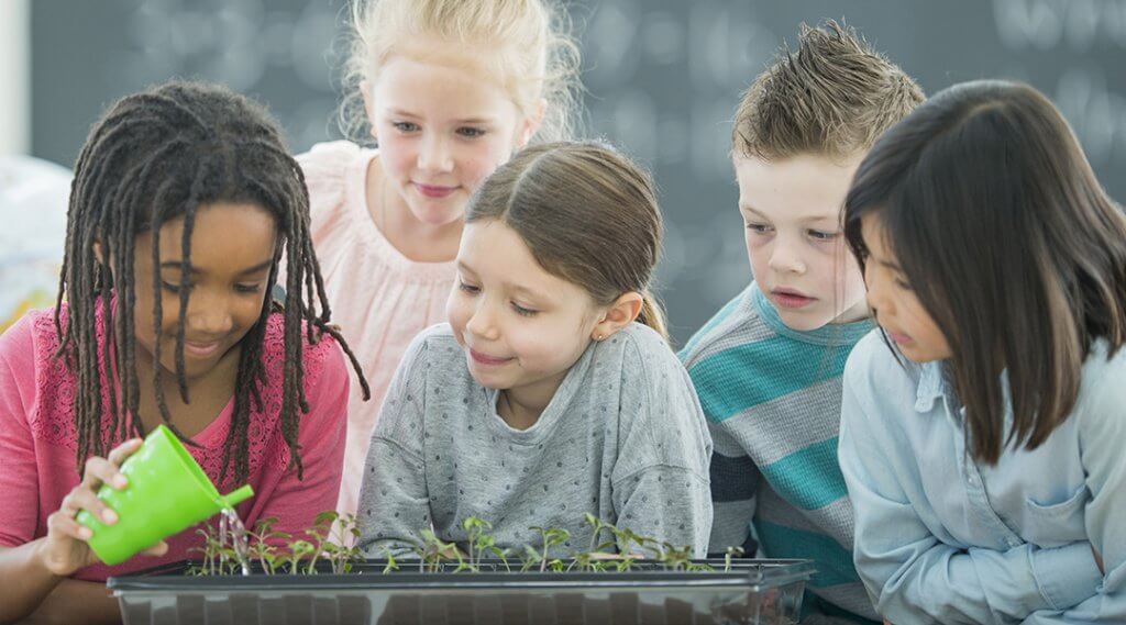 A multi-ethnic group of elementary age school children look curiously as they learn to water small plants inside a classroom garden.