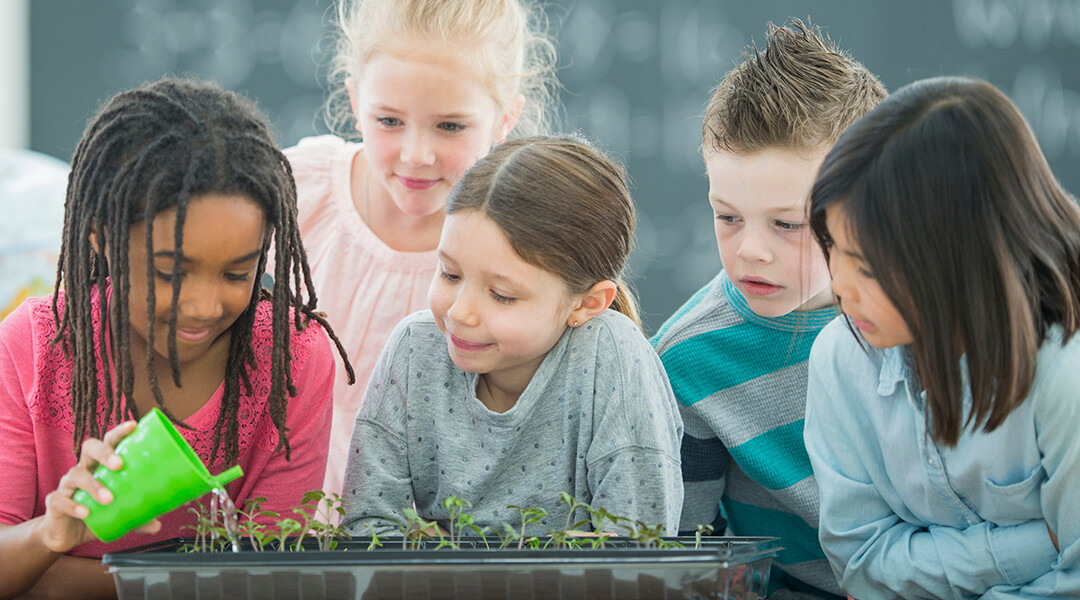 A multi-ethnic group of elementary age school children look curiously as they learn to water small plants inside a classroom garden.