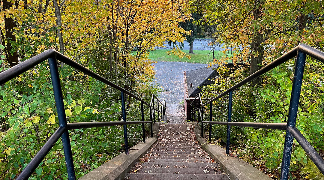 View down an outdoor cement staircase with handrails in a Pittsburgh park.